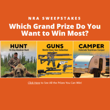 19 Guns + Gun Safe Giveaway